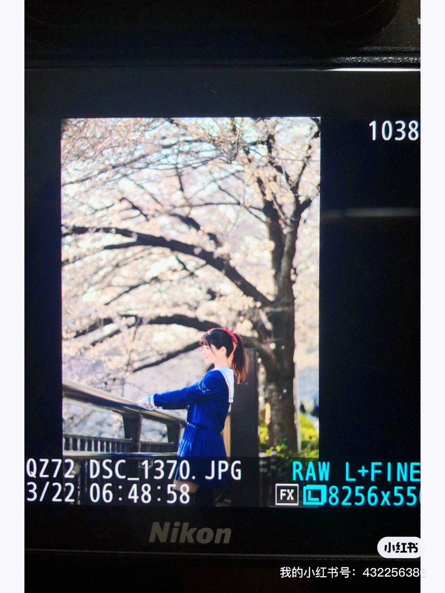 xqwonder's tweet photo. 今年撮った最初の桜。
@rokasann https://t.co/Ge2RBxZ8nf