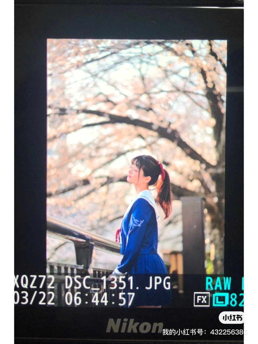 xqwonder's tweet photo. 今年撮った最初の桜。
@rokasann https://t.co/Ge2RBxZ8nf