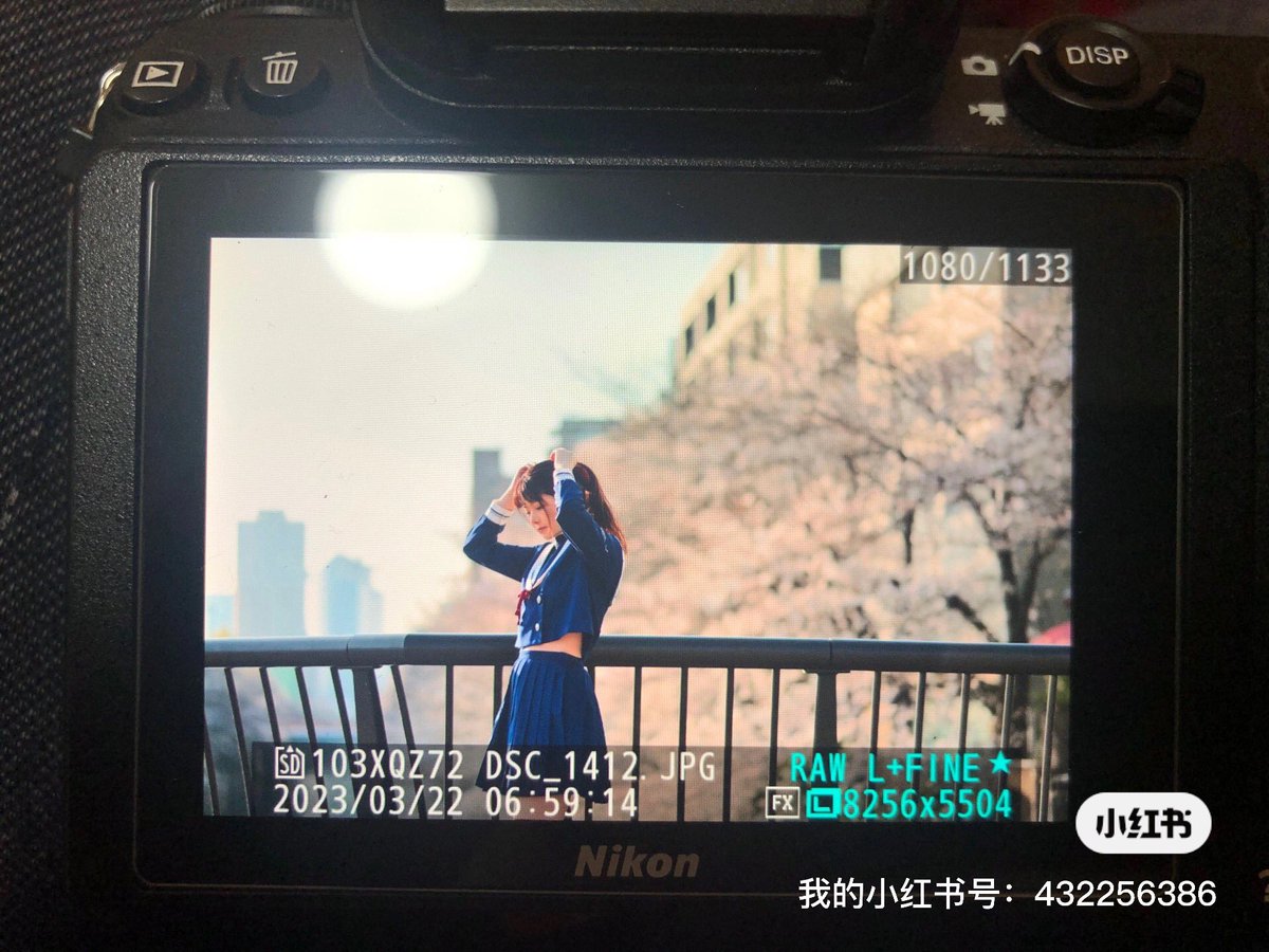 xqwonder's tweet photo. 今年撮った最初の桜。
@rokasann https://t.co/Ge2RBxZ8nf