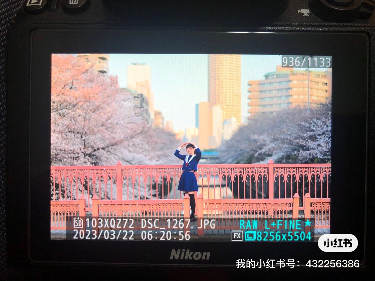 xqwonder's tweet photo. 今年撮った最初の桜。
@rokasann https://t.co/Ge2RBxZ8nf