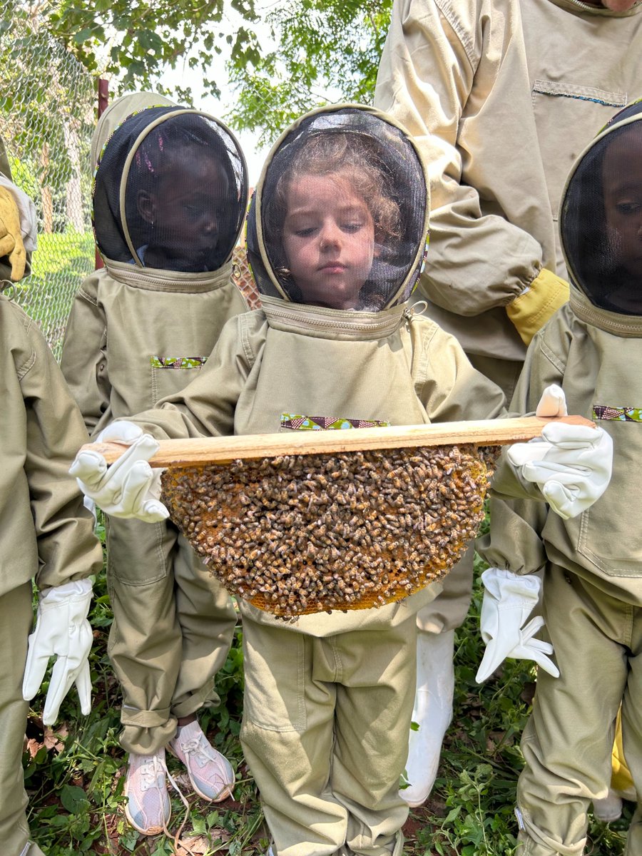 ISofUganda's tweet photo. #ISUKinder students inquired into ๐ bees & their habitat. We discussed beekeeping safety & how humans interact with them. Students were eager to take a look inside the beehives & some were even brave enough to hold a piece of the honeycomb covered in bees! #ISUPYP https://t.co/Yb1RfM9XG6