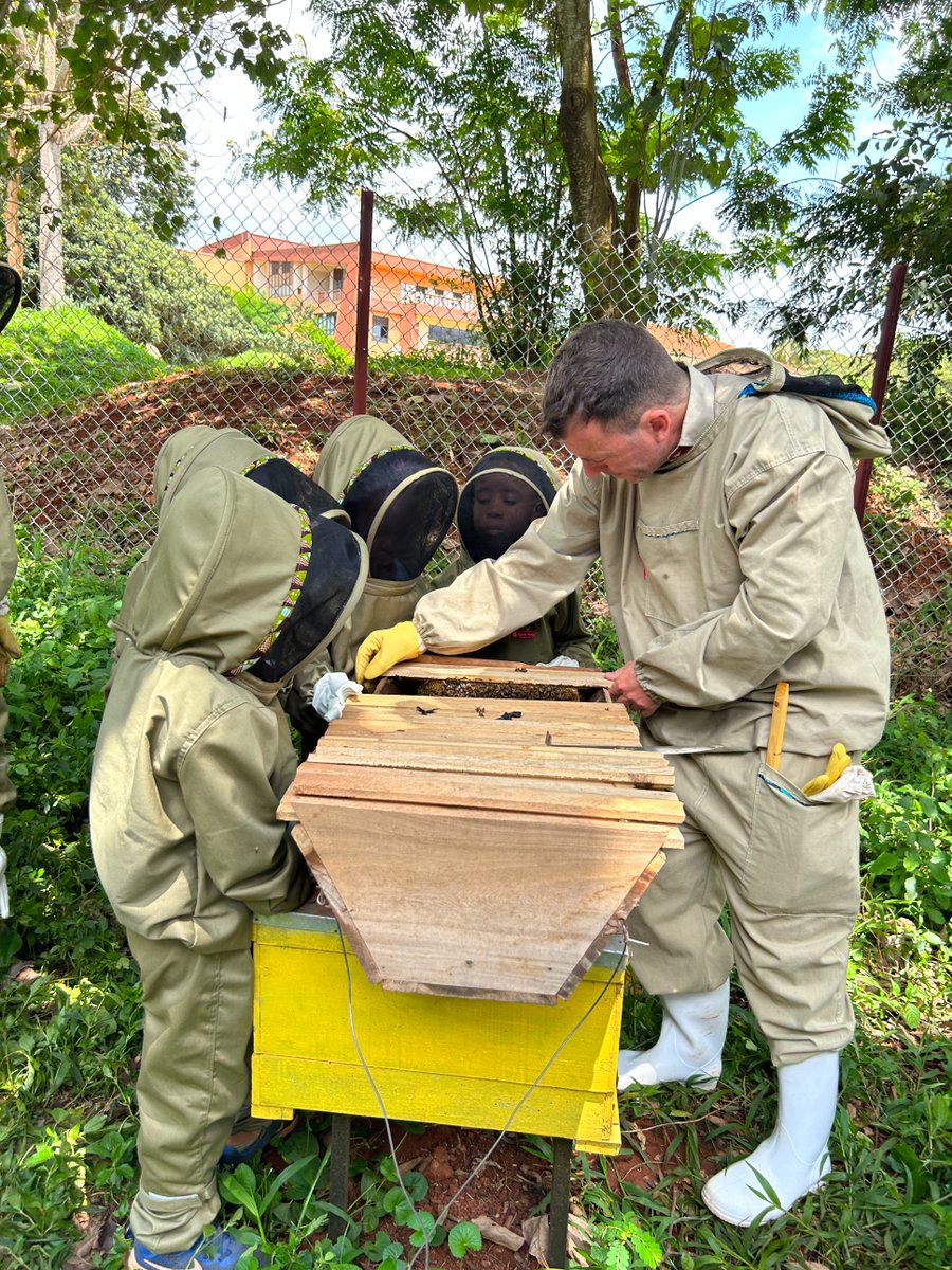 ISofUganda's tweet photo. #ISUKinder students inquired into ๐ bees & their habitat. We discussed beekeeping safety & how humans interact with them. Students were eager to take a look inside the beehives & some were even brave enough to hold a piece of the honeycomb covered in bees! #ISUPYP https://t.co/Yb1RfM9XG6
