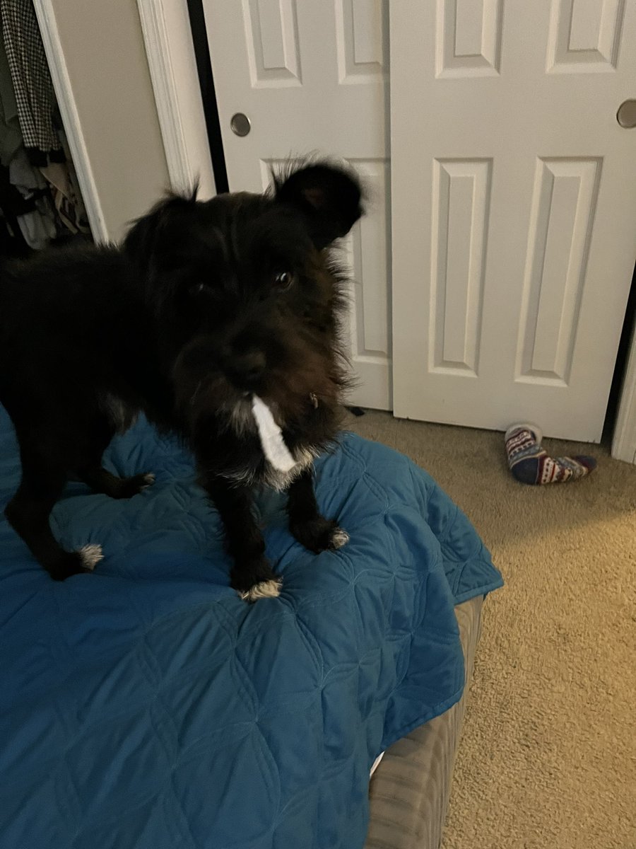 ApolloLovesFun's tweet image. Ladies and gentlemen of the jury, was framed!