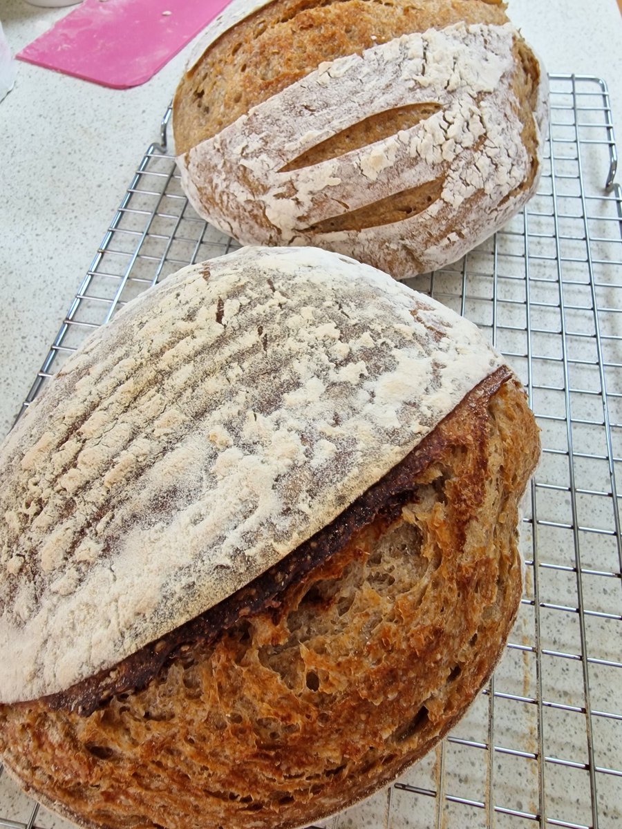 yrhenwrach's tweet photo. Today's bread
#LockdownVibes https://t.co/fE6WBCOtTK