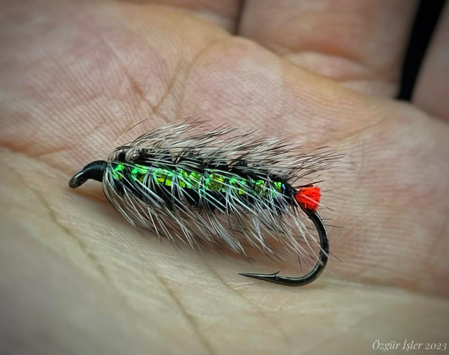 Saltwateronfly's tweet photo. Reminds me of a pattern I fish. Called a wooly worm, Love the iridescent body
@oz.flytying Summer love!
This fly has almost same pattern as my woolly bugger variant, 
.
.
 #flytying #catchandrelease #keepemwet #rainbowtrout #browntrout #flyfishing #troutflies #woolybugger https://t.co/GEI32SuzEC
