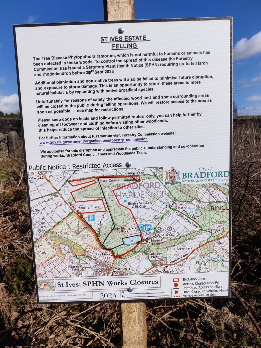 Conor Mayling tweet media