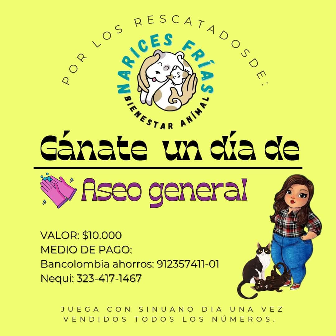 En Monteria ellos necesitan ayuda para seguir rescatando gatos de las calles y sufriendo . <a href="/andreanimalidad/">Andrea Padilla |Senado Alianza Verde🌻#️⃣1️⃣4️⃣</a> <a href="/MarcosDanielPG/">Marcos Daniel🌳</a> <a href="/wmanzur/">Wadith Manzur Imbet</a> @sarayrobayobech <a href="/AndresCalleA/">ANDRÉS CALLE</a> <a href="/LaRazonCo/">LA RAZÓN. CO</a> <a href="/LaVentanaDeCord/">Ventana de Córdoba</a> @CHICACERETE <a href="/caordosgoitia/">Carlos Ordosgoitia</a> <a href="/PoliciaMonteria/">Policía Metropolitana de Montería</a>