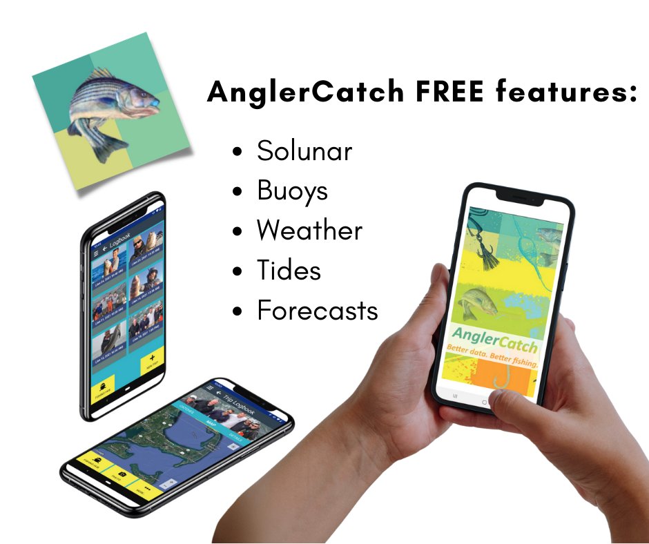 Fran Karp (@francinekarp) on Twitter photo Check out the benefits of using AnglerCatch for your fishing logbook. A Logbook with a Purpose!
news.yahoo.com/fishing-report… via <a href="/YahooNews/">Yahoo News</a>
#citizenscience #fisheriesmanagement #fishing Check out the benefits of using AnglerCatch for your fishing logbook. A Logbook with a Purpose!
news.yahoo.com/fishing-report… via <a href="/YahooNews/">Yahoo News</a>
#citizenscience #fisheriesmanagement #fishing