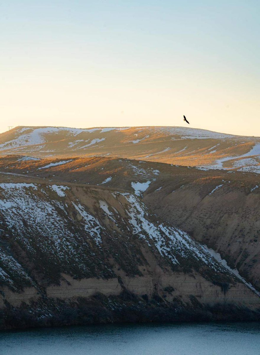 visitsouthidaho's tweet photo. Southern Idaho is home to four of the most wild and diverse national monuments in the nation, all rich in natural and human history.
Learn more about visiting here: https://t.co/oi1Gim1L8z
#southernidaho #visitidaho #springdestination https://t.co/II1fhjdRkf