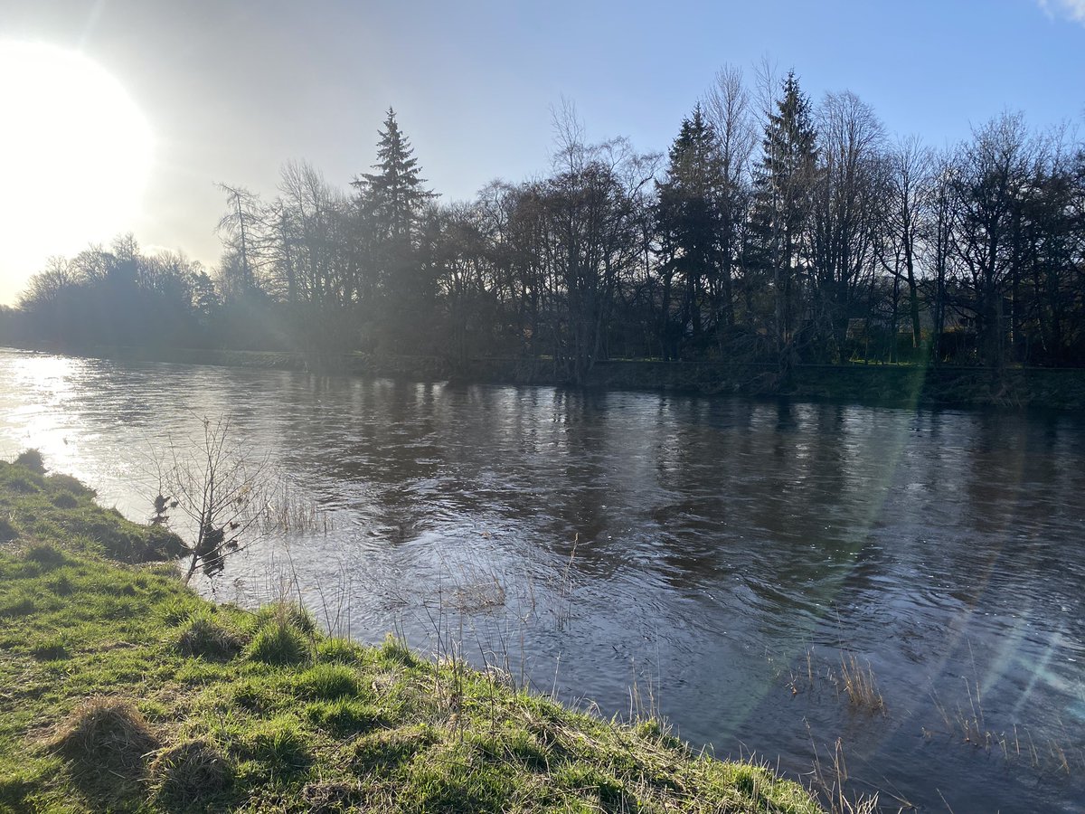 JudithDenwood's tweet photo. A beautiful morning here in Peebles #WednesdayMotivation #Scotland #runbeforework ❤️ https://t.co/1eNQb38WOp