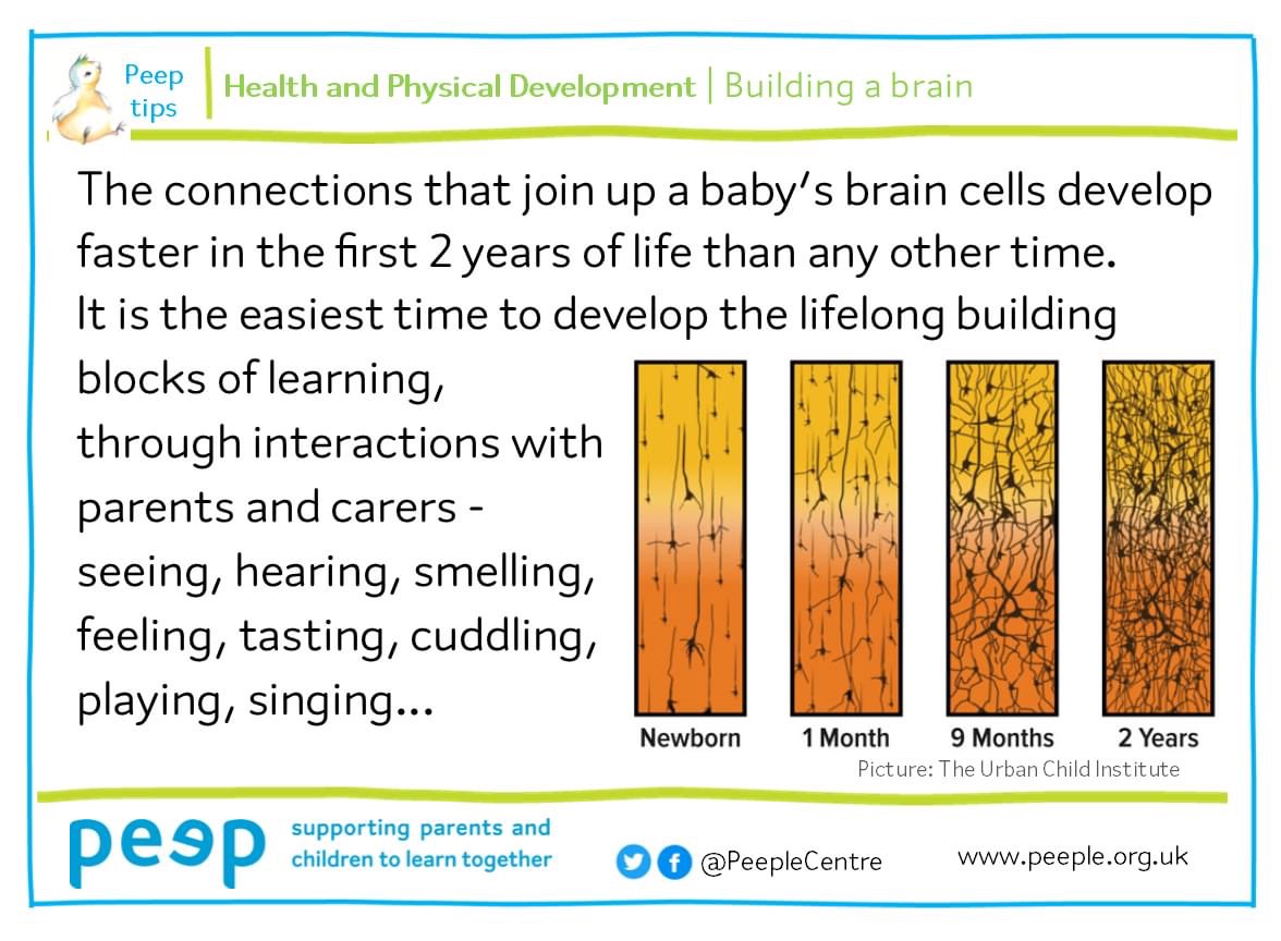 PeepleCentre's tweet photo. Every interaction, &amp; everything babies see, hear, touch, taste &amp; smell will help their brain to make connections &amp; develop. Most of these connections are made during the early years of life – this means that infancy is an important time for brain development.  #earlyyears https://t.co/XUXMccq5P9