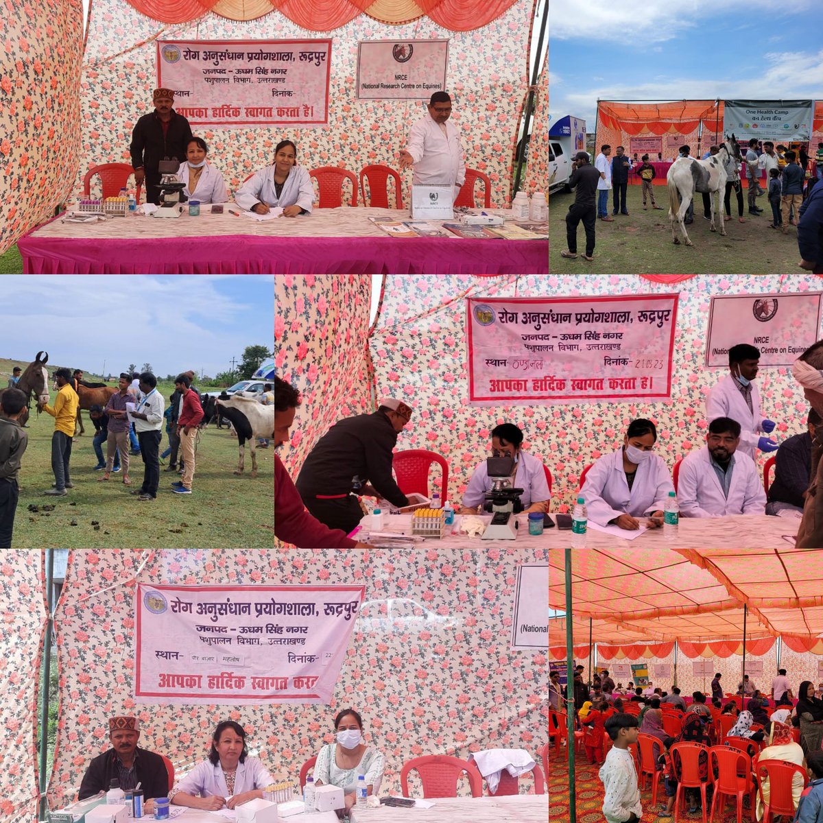 dil_usn's tweet photo. दिनाँक 21-3-23 एवं 22-3-23 को one health camp का आयोजन ठंडानाला व महतोश क्षेत्रों में किया गया जिसमें विभिन्न विभागों सहित रोग अनुसंधान प्रयोगशाला,  रुद्रपुर द्वारा भी प्रतिभाग कर पशुओं में परजीवी रोग की जांच हेतु sample (रक्त, मल, मूत्र) लिए गए। https://t.co/UDB9q9lMnT