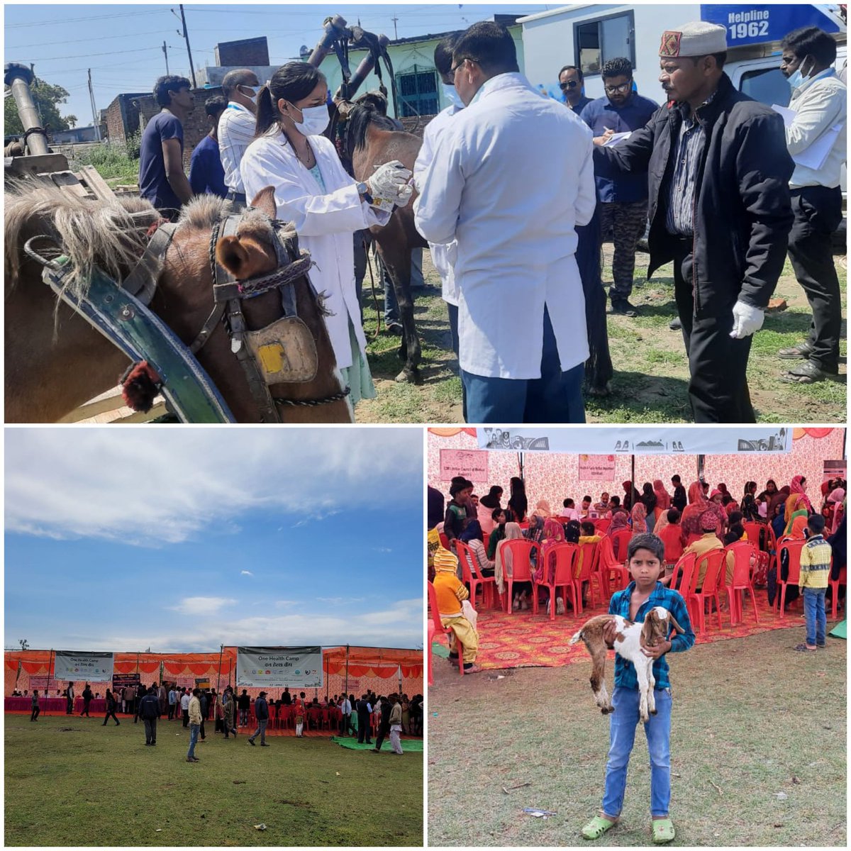 dil_usn's tweet photo. दिनाँक 21-3-23 एवं 22-3-23 को one health camp का आयोजन ठंडानाला व महतोश क्षेत्रों में किया गया जिसमें विभिन्न विभागों सहित रोग अनुसंधान प्रयोगशाला,  रुद्रपुर द्वारा भी प्रतिभाग कर पशुओं में परजीवी रोग की जांच हेतु sample (रक्त, मल, मूत्र) लिए गए। https://t.co/UDB9q9lMnT