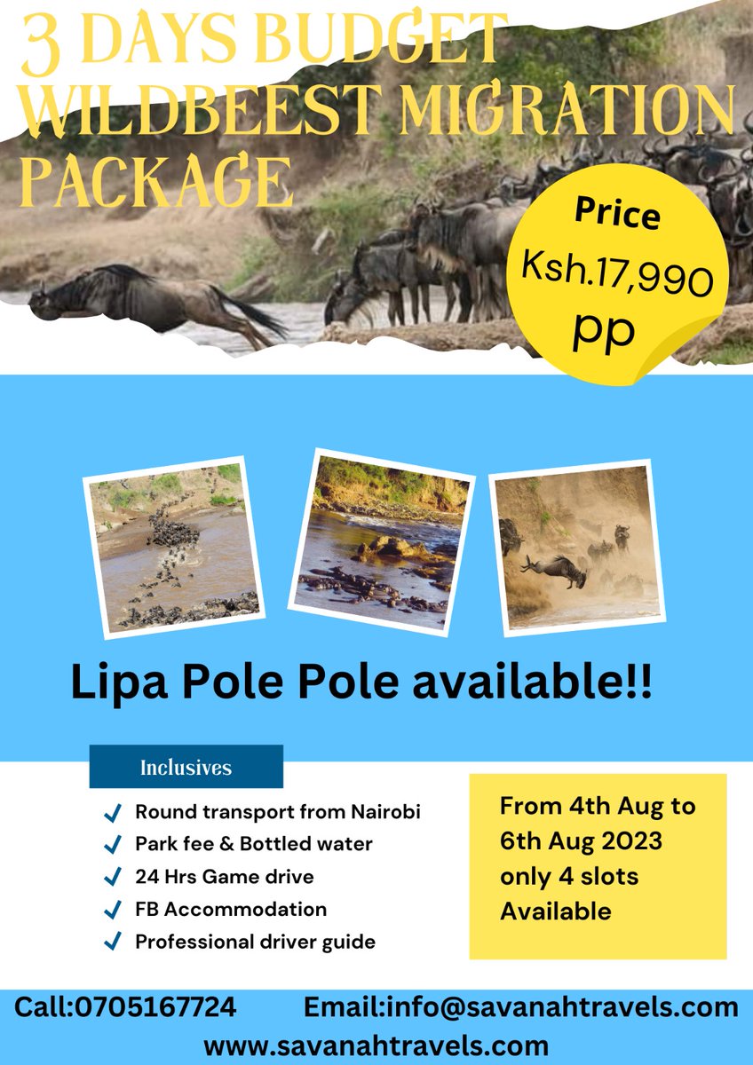 TechsavannahT's tweet photo. Tuchaze Van Twende Mara and witness the 7th Wonder of the world😍Book your slot today and be among the Thousands of Tourists who will experience the great migration of wildebeest.
#UDAmps
#Brookside
#Resign
#JeffMwathi
#Kinuthia
#Mapemandiobest https://t.co/obgBXiID5h