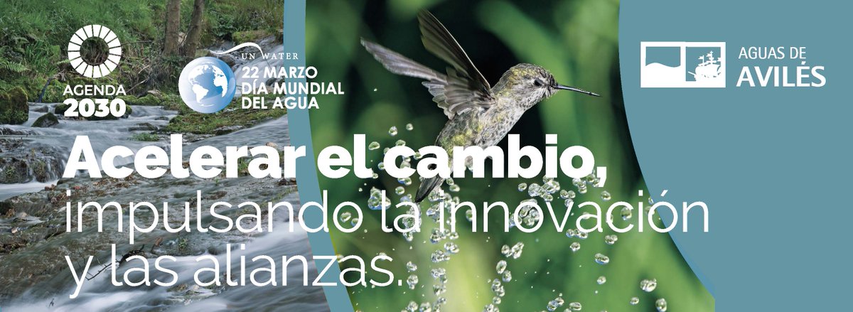 AguasdeAviles's tweet photo. Hoy celebramos el #DiaMundialDelAgua y queremos compartir cómo la #digitalización y las #alianzas nos ayudan a transformar nuestro servicio gracias a la aplicación de nuevas tecnologías, la colaboración público-privada y la participación ciudadana 💻👥💦 

#DMA23 https://t.co/bmXOtk41BU