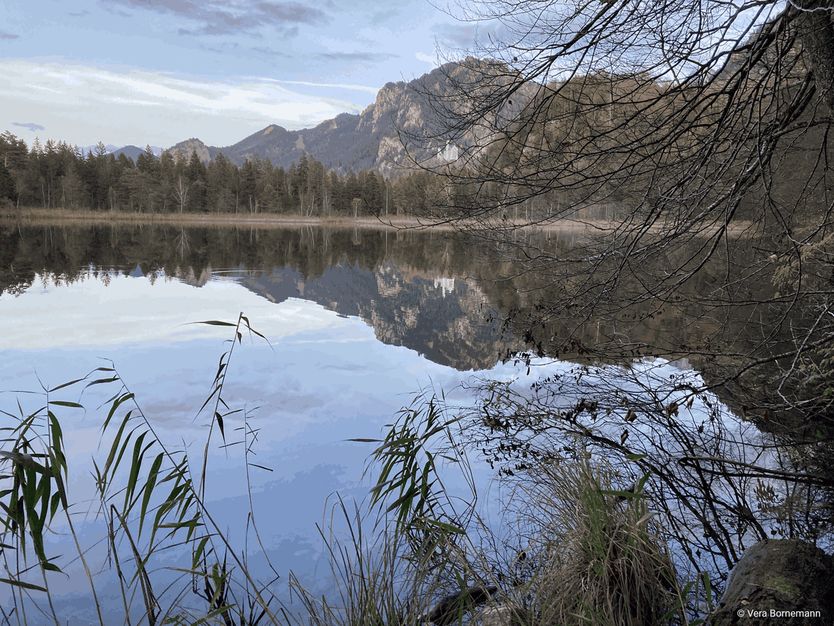 alpconv's tweet photo. 💧 Happy #WorldWaterDay! Looking after this precious resource is indispensable for our survival &amp; that of our #Planet.

📃 In 2020 the #AlpineConference adopted a declaration on #WaterManagement to address some of the challenges facing water in the #Alps: https://t.co/9m8uVl8gci https://t.co/qHcFtKzEK3