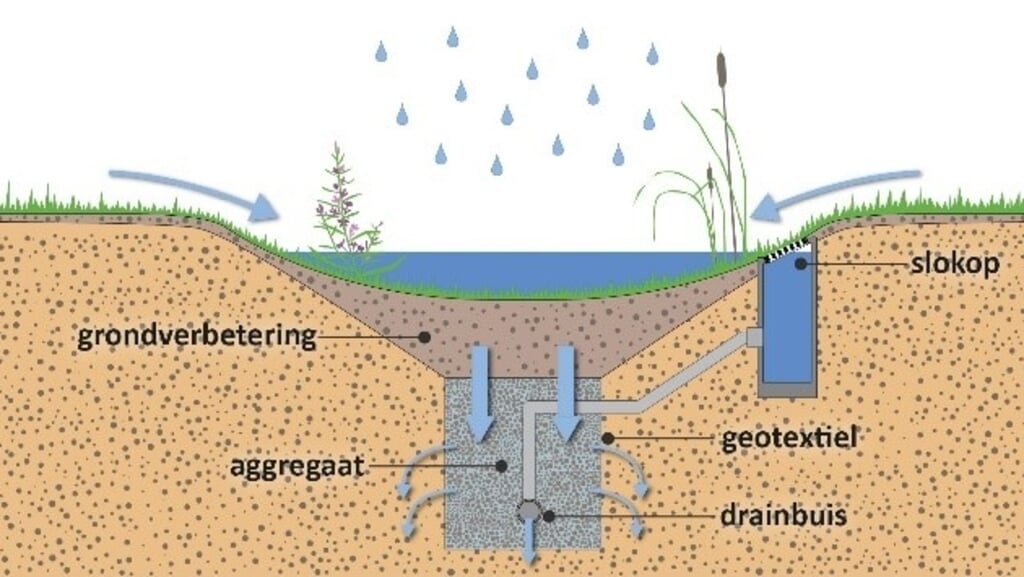 Regionieuws: Klimaatburgemeester krijgt informatie over klimaatadaptatie dlvr.it/SlHSHJ #nissewaard #regionieuws