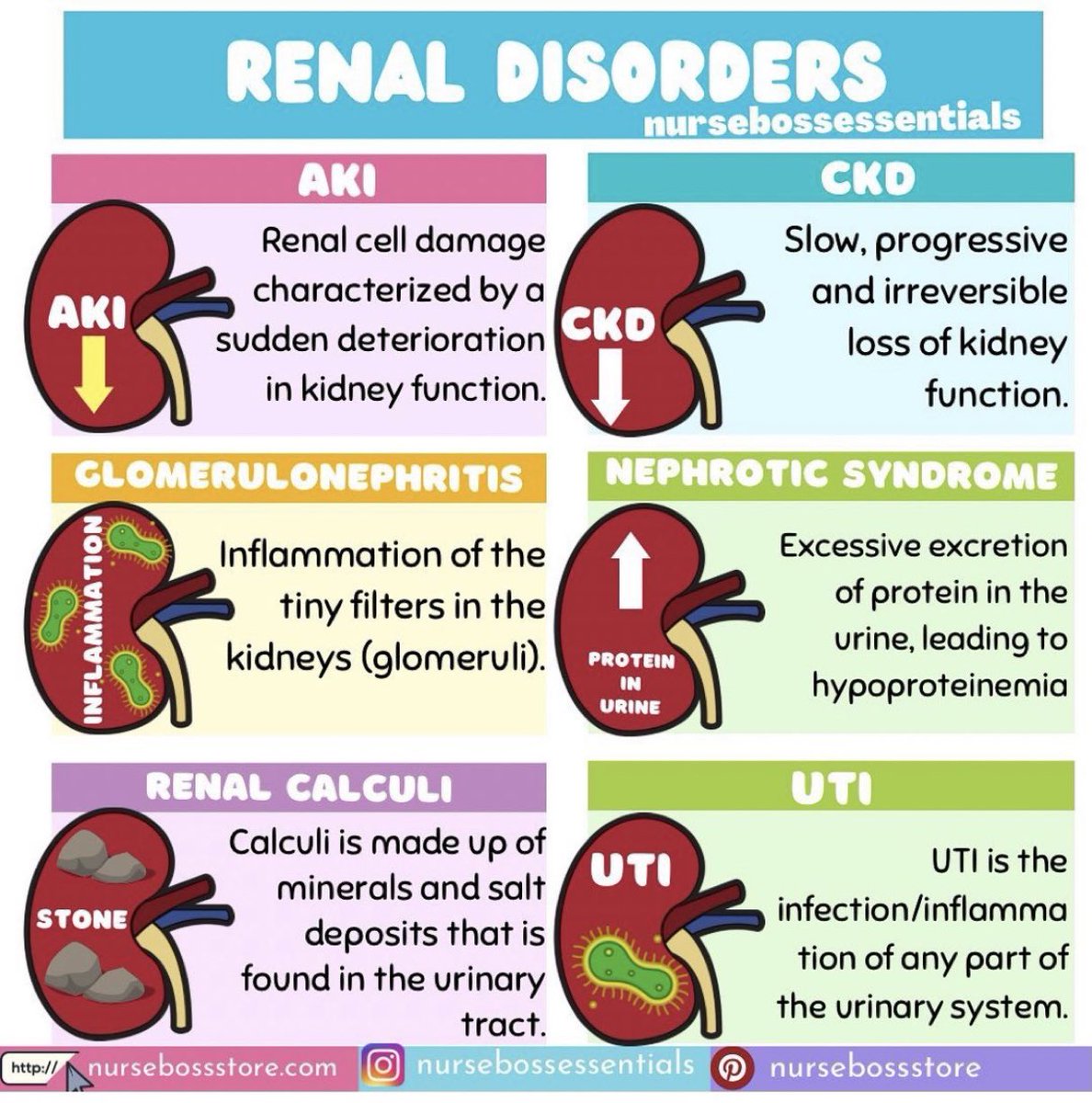 Renal Disorders

#renal #kidney #nephtwitter #nephrology #MedEd #MedTwitter #FOAMed  #INNOMed