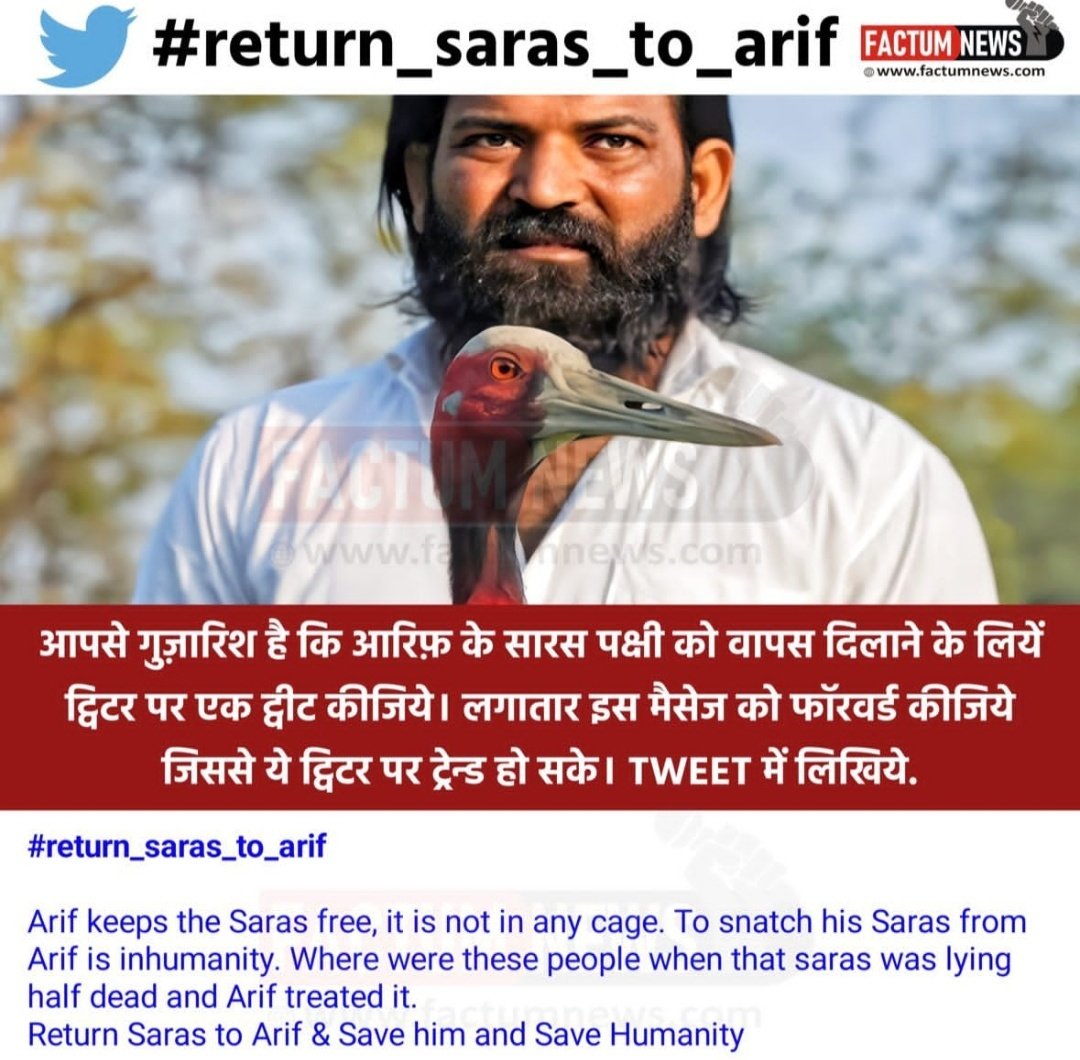 Meraj547's tweet photo. #return_saras_to_arif https://t.co/lrS6dJp9SK