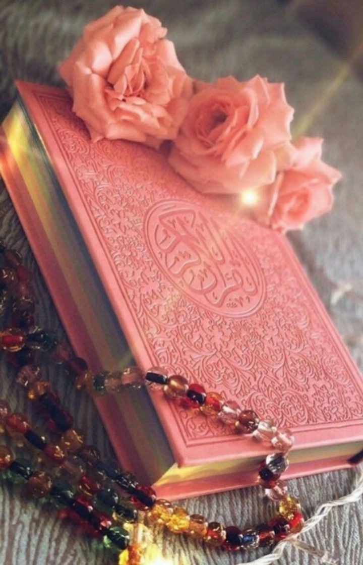 bahasunny's tweet photo. Uyanma Vakti Geldiyse
Bir Uyandıran Olur Elbet,

Kimine Hızır, 
Kimine Uçan Kuş,
Kimine Biten Ot,
Kimine Açan Çiçek,

Kimine Akan Su,
Kimine Dilsiz Taş.

Tabduk Emre Hz 

#Ramazan 
#Oruç 
#iftar https://t.co/bRrxzSsc62