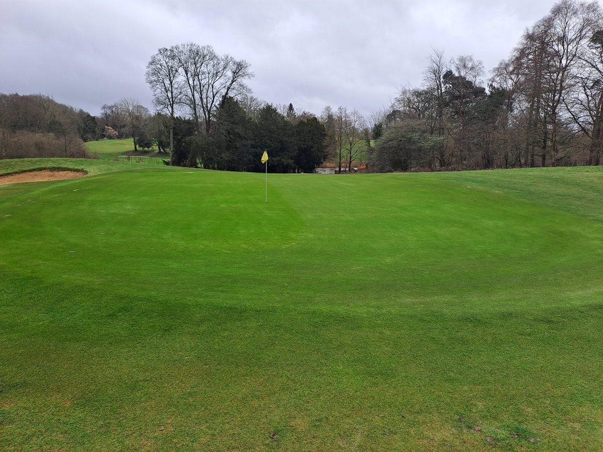 Solid tine followed by a light dressing and brushed in twice, then mother nature doing her thing, 24 hours later looking good 👌