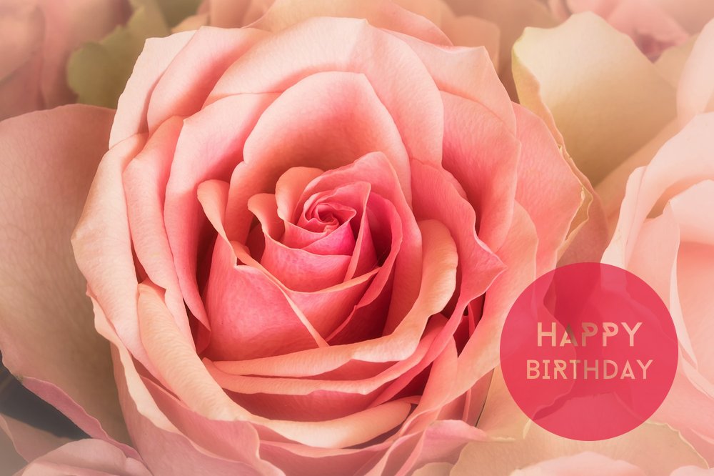 Issy 🍀 tweet media