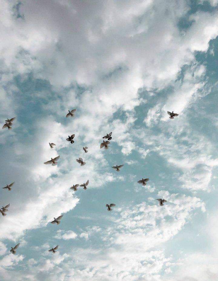 Balaghl's tweet photo. "وَذكـرتُهُم حينَ الـدُّعـاءِ لأنَّهُم
فِي اللّٰهِ قَلبِي بِالمَحبَّةِ ضَمَّهُمْ" https://t.co/FhlRpRKXwK
