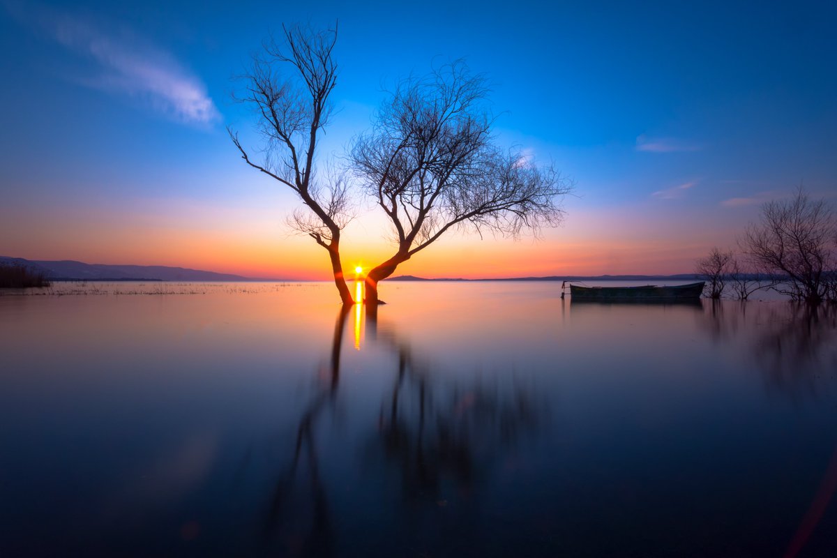 Gm fam 💙
The last piece is waiting for its new owner.

Last 1 Piece
Seclusion
1/20
2 $XTZ

objkt.com/asset/KT1L3zu1…