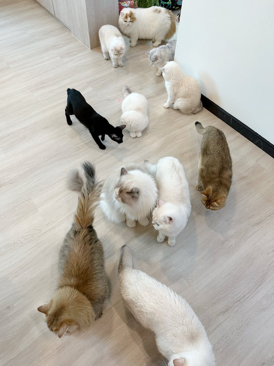 Bonusiie's tweet photo. เยอะหรอ https://t.co/e4GWkoYMkR