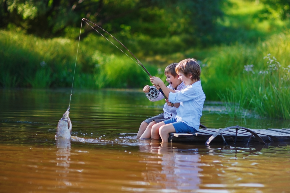 Jaime_la_Chasse's tweet photo. La chasse est une activité qui a longtemps été pratiquée par nos ancêtres. Bien que les temps aient changé et que la chasse ne soit plus une nécessité pour se nourrir, il existe encore de nombreuses raisons pour lesquelles il peut être bénéfique

https://t.co/PXCcbAiGW8 https://t.co/XwVkFHNuvt