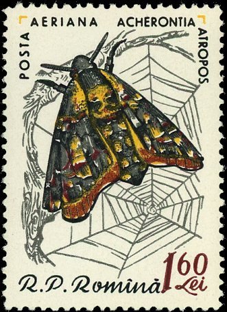 Stamps Bot (@stampsbot) on Twitter photo 