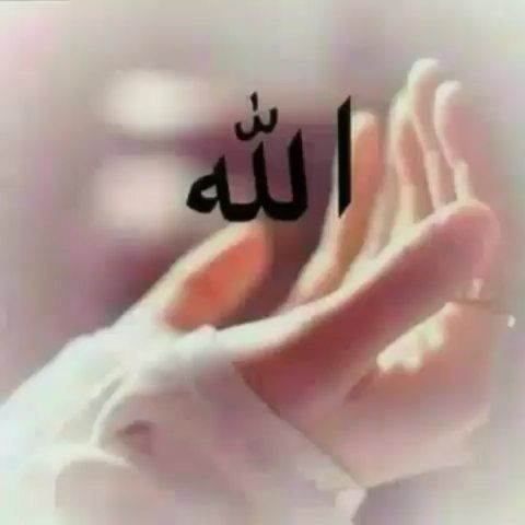 gehanal30828362's tweet image. ربى اينما كان الهدى اجعله طريقى اينما كان الرضا اجعله رفيقى💓اينما كانت السعادة اجعلها فى قلبى ربى اجعلنى خيرا مما يظنون واغفرلى مالا يعلمون🤲🤲🤲