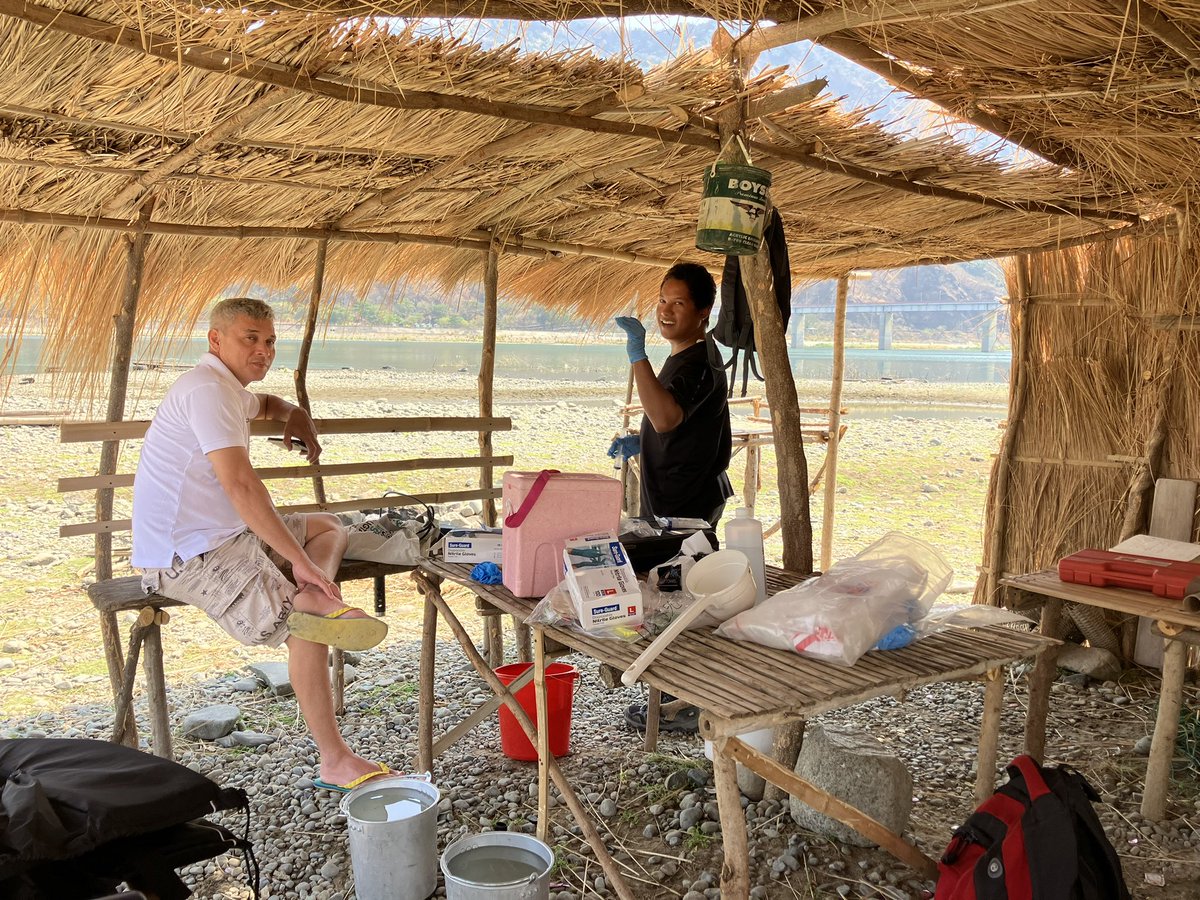 Laura Quick tweet media