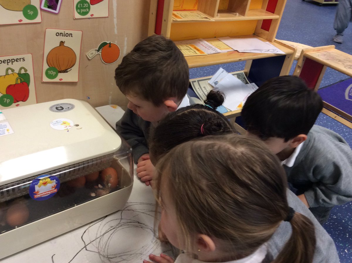 EYFS tweet media