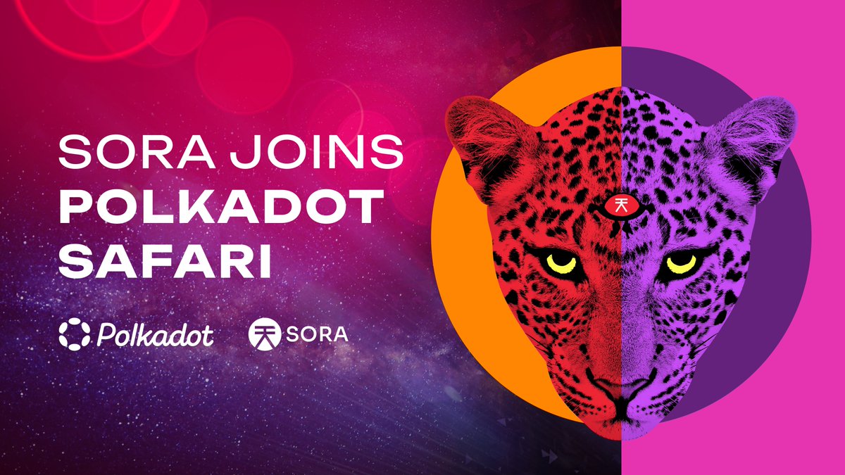 SORA | The First Blockchain Monetary System. 天 tweet media