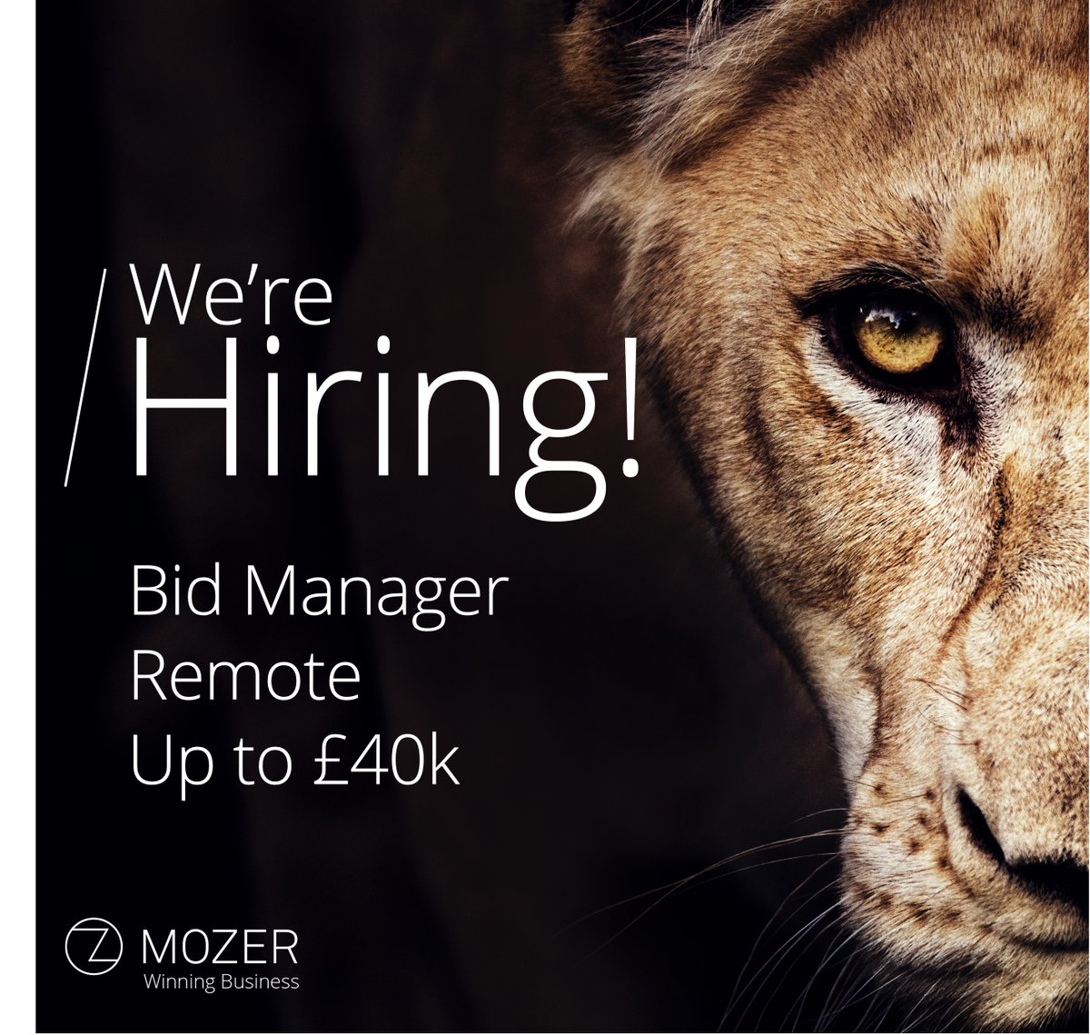 We're #hiring. Come join us! We work with different clients on different projects every day! We're an informal team with lots of flexibility on how we run our working day to getwork-life balance in fast-paced business. 1pm finish on a Friday! Contact alison@mozer.co.uk #winning
