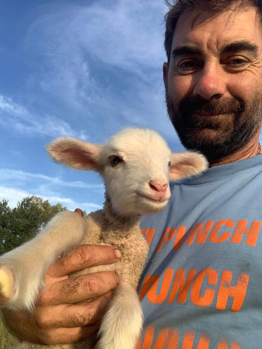 Nous avons le plaisir de vous annoncer que la campagne "La Terre des Ondines" vient d'être clôturée avec succès 🙌  
Grâce à votre investissement, ce sont 340.340€ qui ont été collectés sur Fundovino

#fundovino #campagnereussie #financementparticipatif #crowdfunding