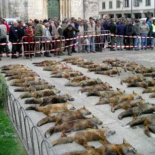 Esto se considera "deporte" en el ordenamiento jurídico de España 🤮

Una aberración que recibe subvenciones públicas como cualquier equipo juvenil de baloncesto.