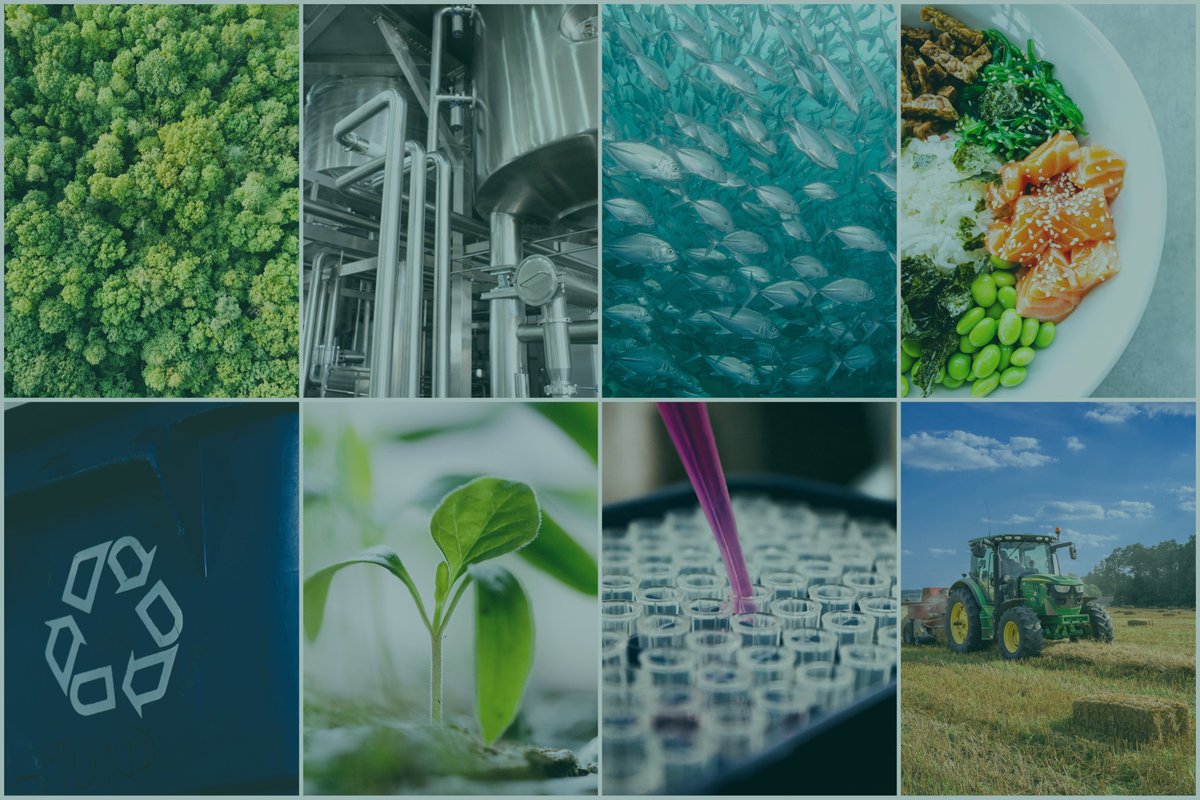 Creating better conditions for bioeconomy innovation is vital: it has the potential to contribute to 
♻ Sustainable resource management
💼Job creation &amp; economic growth
🌍Climate change mitigation
🥗Improved food security
Join us to improve the conditions bit.ly/3Z7JPC8