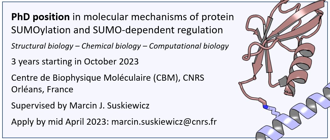 We have a PhD position to work on protein SUMOylation using a mixture of approaches, funded by our ERC Starting Grant. Orléans is a beautiful medium-sized city on the Loire, not far from Paris. I'll do my best to make it a good experience.