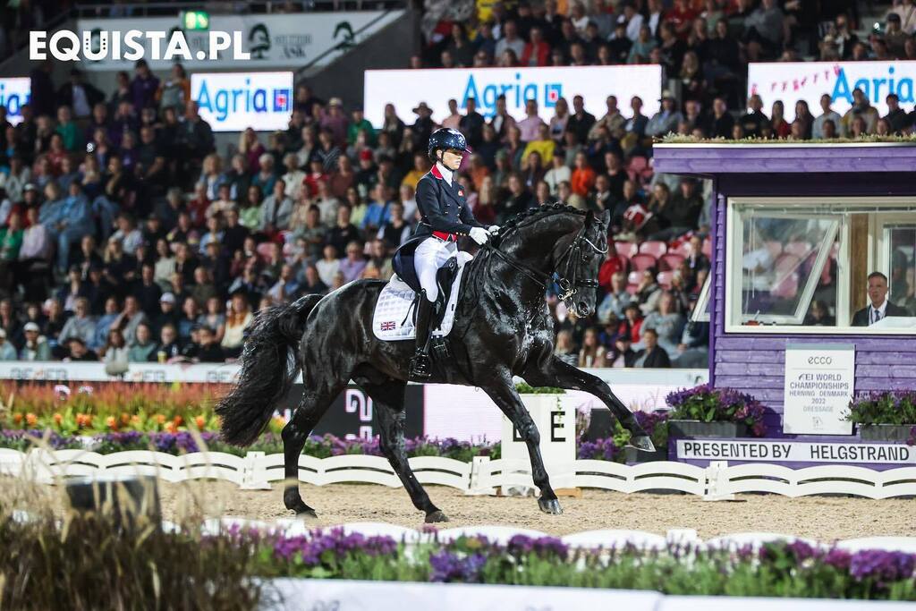 equistapl's tweet photo. Golden couple 🫶🏻💎🥇🏆

Charlotte Fry (GBR) &amp; ogier Glamourdale (Lord Leatherdale x Negro) podczas Mistrzostw Świata w Herning 2022, gdzie w Grand Prix Freestyle para osiągnęła rekordowy wynik 90,654% 😍

📸 @davapalej 
—

@equistapl #horsepowerfreaks… https://t.co/fFT9aKzHhY https://t.co/YN2Wp1CuMP