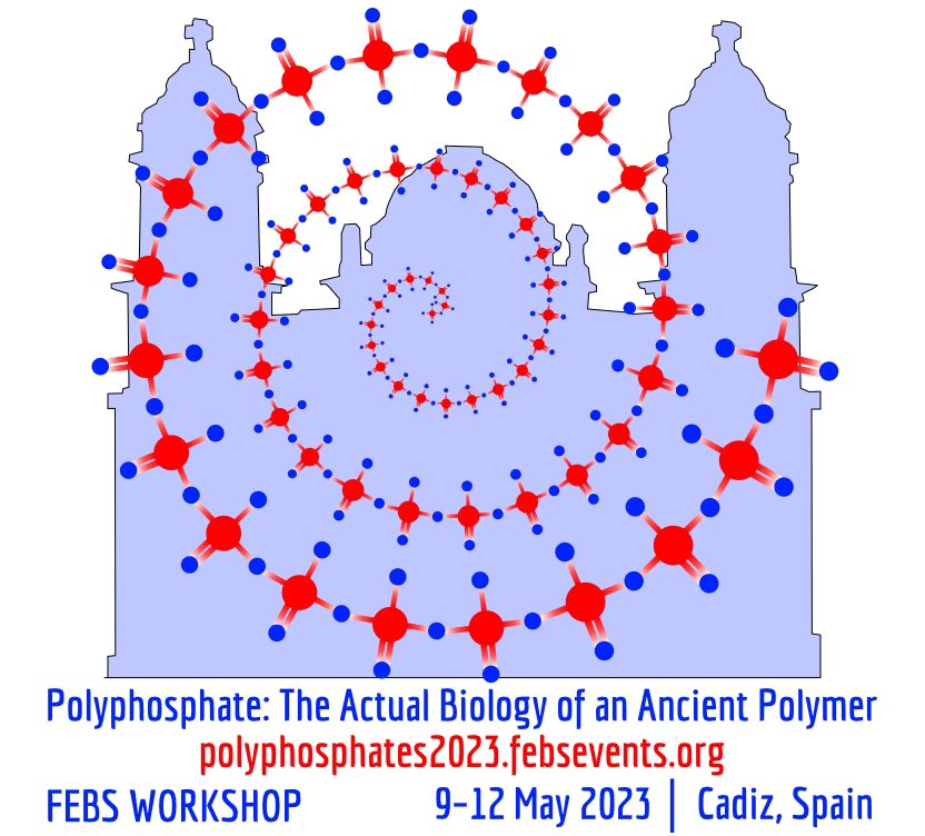 FelixARuiz1's tweet photo. What do you think of this design for the #polyP workshop in #Cadiz?
https://t.co/TmCVAq1tXn
In the background, the silhouette of the #Cathedral βover the seaβ, Cadiz greatest icon ππ
#polyphoshate @FEBSnews https://t.co/sp0edSCASP