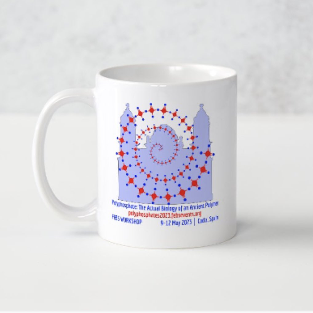 FelixARuiz1's tweet photo. What do you think of this design for the #polyP workshop in #Cadiz?
https://t.co/TmCVAq1tXn
In the background, the silhouette of the #Cathedral βover the seaβ, Cadiz greatest icon ππ
#polyphoshate @FEBSnews https://t.co/sp0edSCASP