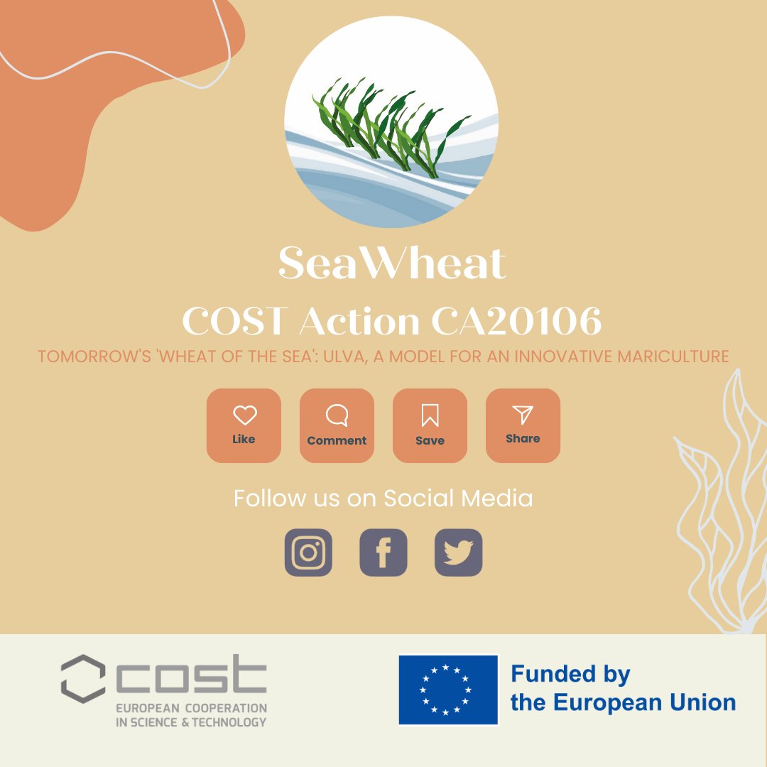 We are thrilled to announce the launch of our monthly online webinar series, 'Lunch with Ulva.' It  is aimed at students, marine biologists, seaweed researchers, and companies working with seaweed along the value chain. 
Join us!
#SEAWHEAT #COSTACTION #SEAWEED #ULVA #CA20106