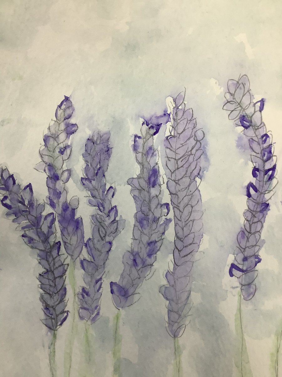 PDA_Y6's tweet image. A selection of our wonderful watercolour flowers painted for some very special people in our lives last week #pdaart