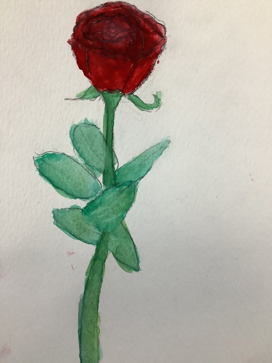 PDA_Y6's tweet image. A selection of our wonderful watercolour flowers painted for some very special people in our lives last week #pdaart