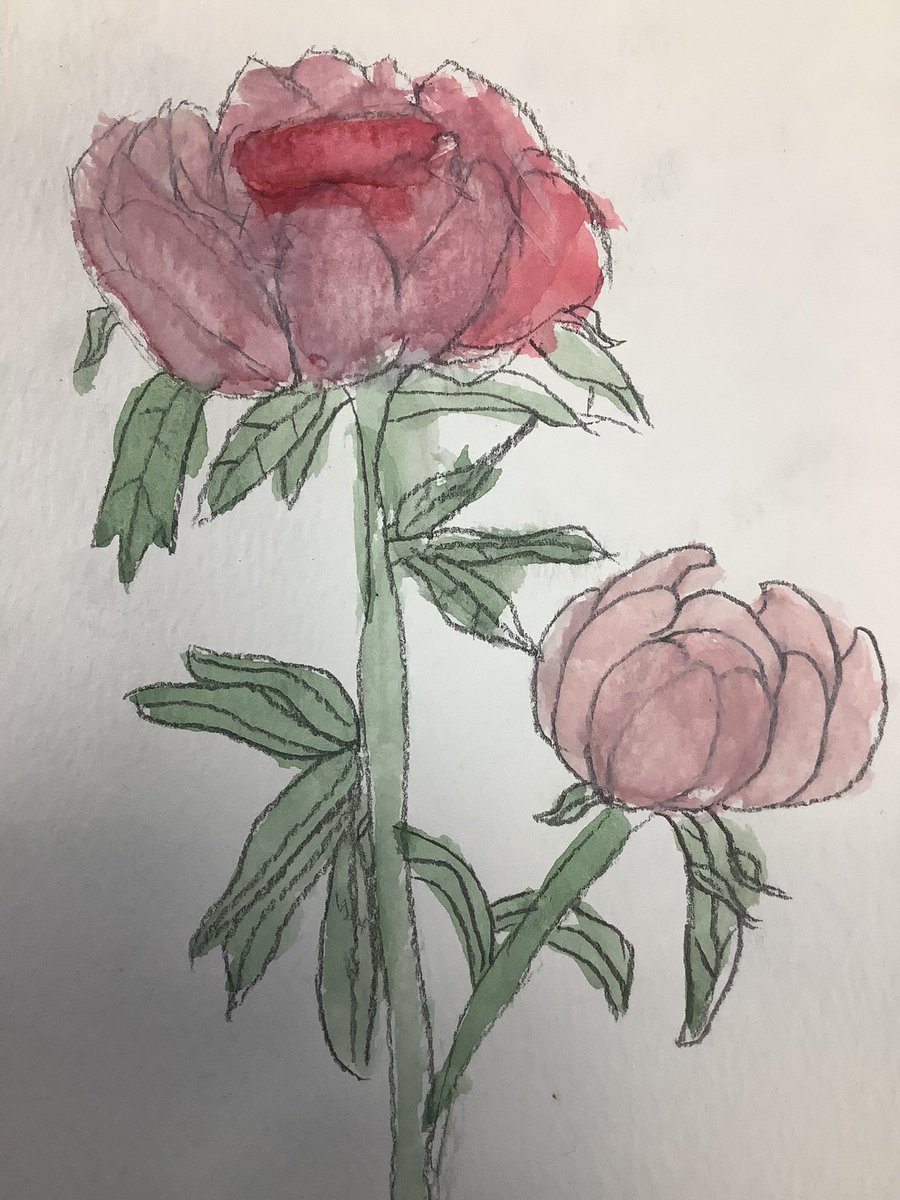 PDA_Y6's tweet image. A selection of our wonderful watercolour flowers painted for some very special people in our lives last week #pdaart