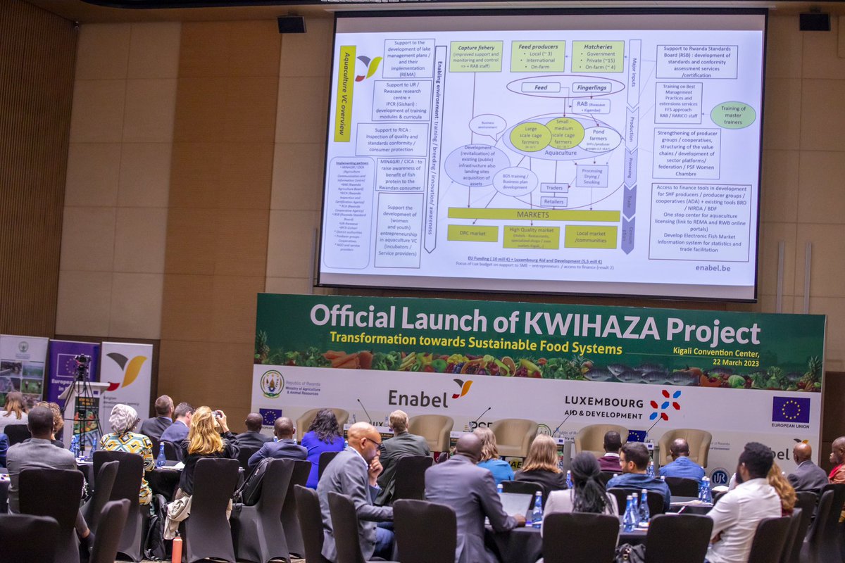 RwandaAgri's tweet photo. Today, Hon. Minister @Ilde_Musafiri officiated the launch of ‘KWIHAZA’ project, a 4-year programme (2023-2026) that will develop the value chains in aquaculture, fishery, and horticulture sectors in Rwanda. https://t.co/Zy55oHku4H