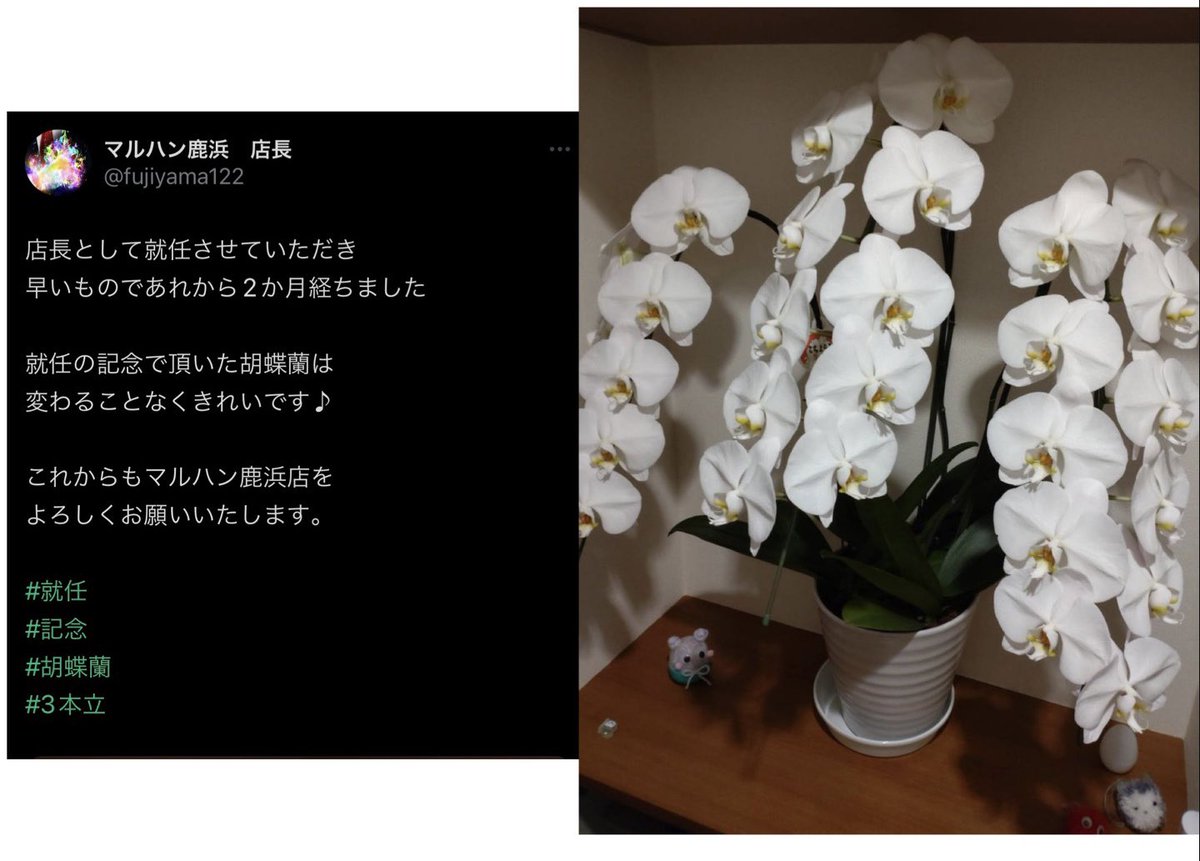 【💩3/23 快便ホール💩】
<🔥🦌21-27week🦌🔥>
・マルハン鹿浜
<🔍気になる🔎>
・第一プラザ西浦和(新装)
・ともえ川越👷💥🍡
・やすだ東大宮👷🍡
<旧イベ>
・スーパーDステーション鴻巣(新台入替)
・ミュー川口芝
・ニューダイエイⅢ(🅿️新装)
・ピークス柳崎(ブッコミ)