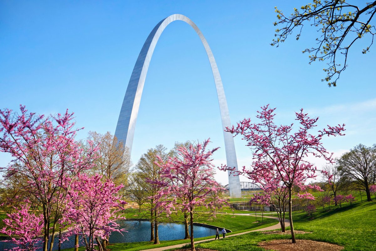 Lisa & James Cameron tweet media